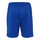 Шорты CORE POLY SHORTS 011-083-7725-S Взрослые Мужской СИНИЙ
