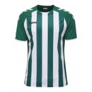 Футболка CORE STRIPED SS JERSEY 003-755-6131-L Взрослые Мужской ЗЕЛЁНЫЙ