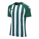 Футболка CORE STRIPED SS JERSEY 003-755-6131-L Взрослые Мужской ЗЕЛЁНЫЙ
