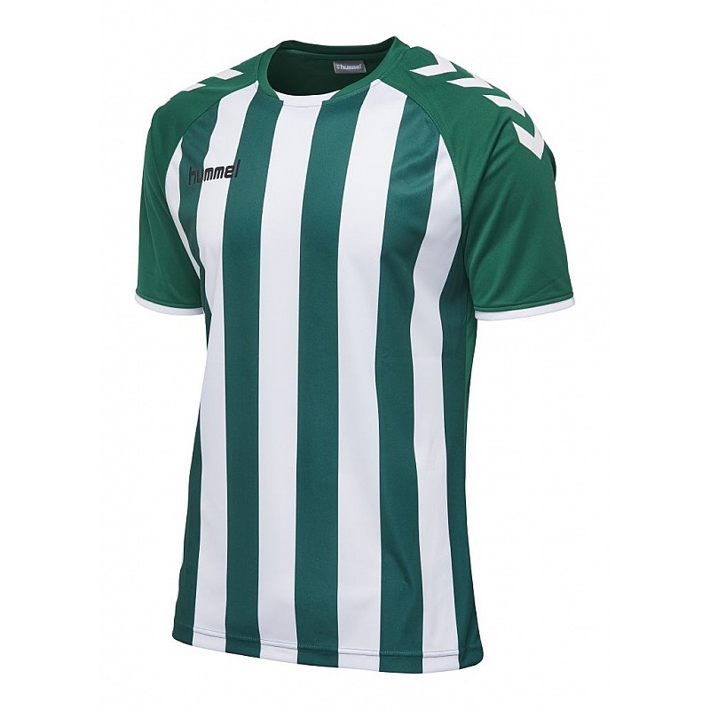Футболка CORE STRIPED SS JERSEY 003-755-6131-L Взрослые Мужской ЗЕЛЁНЫЙ