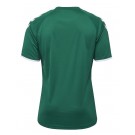 Футболка CORE STRIPED SS JERSEY 003-755-6131-L Взрослые Мужской ЗЕЛЁНЫЙ