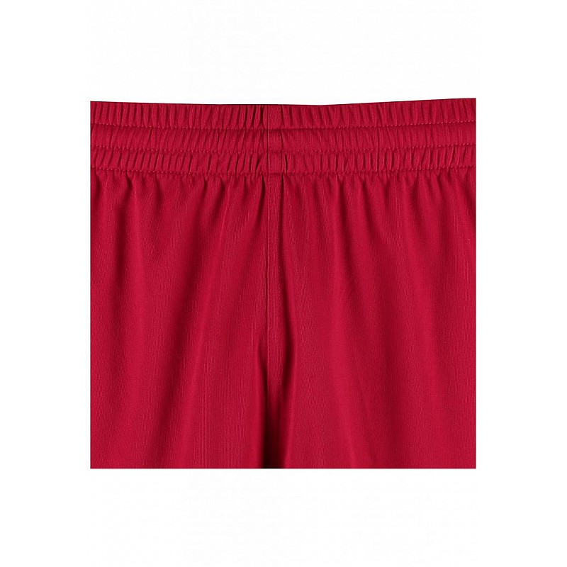 Шорты детские CORE POLY SHORTS 111-083-3602-164-176 Подростки и дети Унисекс МАЛИНОВЫЙ